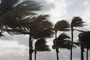 Are You Prepared for a Hurricane